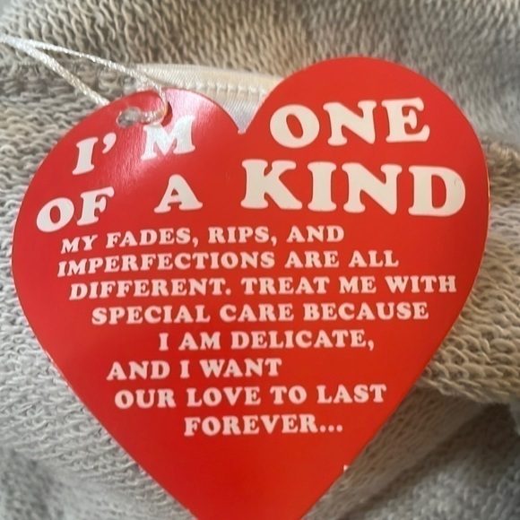 WILDFOX 💋🦊 Bridesmaid Regan gray NWT Hoodie only - Picture 13 of 15